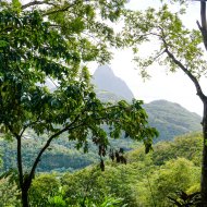 oasis1746_mountainview_apartment_view_002