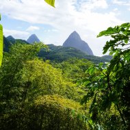 oasis1746_mountainview_apartment_view_003